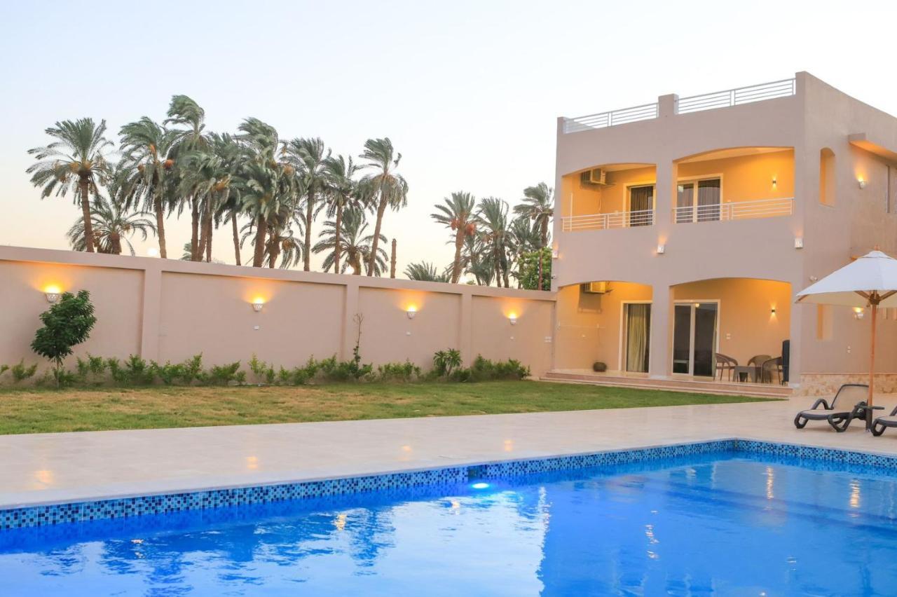 Royal Nile Villas - Pool View Apartment 2 룩소르 외부 사진